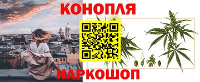 дживик Тара