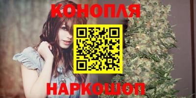 СК Тверь